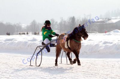 IMG_0393.JPG