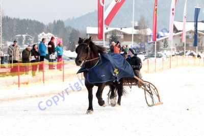 IMG_1129.JPG