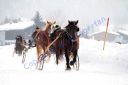 IMG_1073.JPG