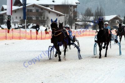 IMG_1255.JPG