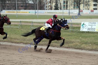 20130317_05_123.JPG