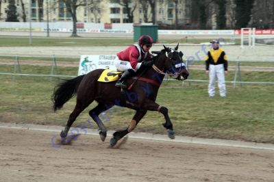 20130317_05_125.JPG