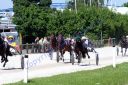 20130518_03_61.JPG