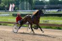 Dateiname=IMG_0024.JPG
Dateigröße=112KB
Abmessungen: 750x500
hinzugefügt am: 07. September 2016 IMG_0024.JPG