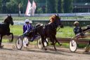 Dateiname=IMG_0081.JPG
Dateigröße=116KB
Abmessungen: 750x500
hinzugefügt am: 07. September 2016 IMG_0081.JPG