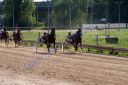 Dateiname=IMG_0097.JPG
Dateigröße=119KB
Abmessungen: 750x500
hinzugefügt am: 07. September 2016 IMG_0097.JPG