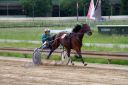 Dateiname=IMG_0116.JPG
Dateigröße=101KB
Abmessungen: 750x500
hinzugefügt am: 07. September 2016 IMG_0116.JPG