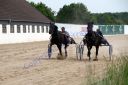 Dateiname=IMG_0320.JPG
Dateigröße=97KB
Abmessungen: 750x500
hinzugefügt am: 07. September 2016 IMG_0320.JPG