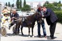 20130616_01_mt_75.JPG