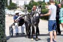 20130616_01_mt_78.JPG