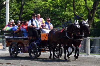 20130616_07a_01.JPG