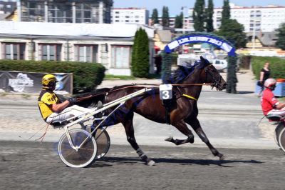 20130616_07a_61.JPG