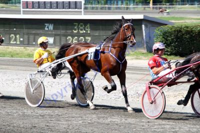 20130616_07a_70.JPG
