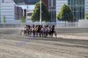 20130616_07c_26.JPG