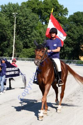 20130616_07d_06.JPG