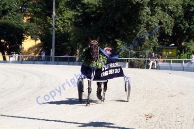 20130616_07d_78.JPG