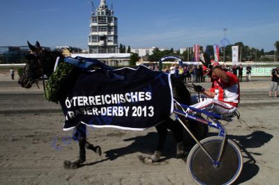 20130616_07d_95.JPG