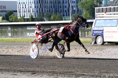 20130616_08_55.JPG