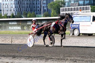 20130616_08_56.JPG