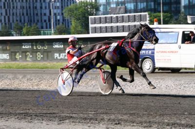 20130616_08_57.JPG