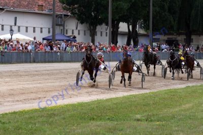20130811_02_70.JPG