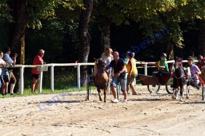 20130815_07_22.JPG