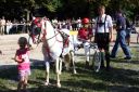 20130815_07_80.JPG