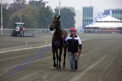 20131006_00_02.JPG