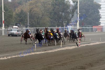 20131006_01_31.JPG