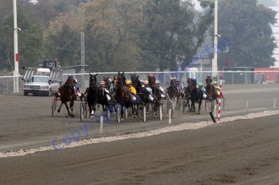 20131006_01_33.JPG