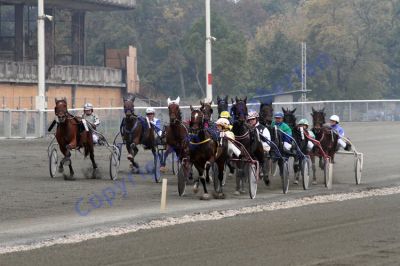 20131006_02_31.JPG