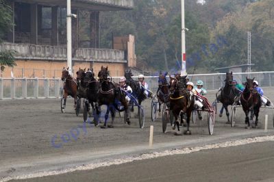 20131006_02_46.JPG
