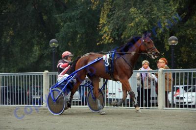 20131006_03_63.JPG