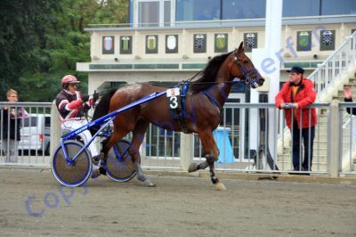 20131006_03_78.JPG