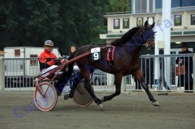 20131006_06_09.JPG