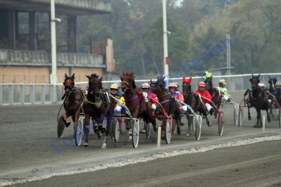 20131006_06_51.JPG