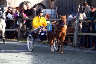 20131019_07_14.JPG