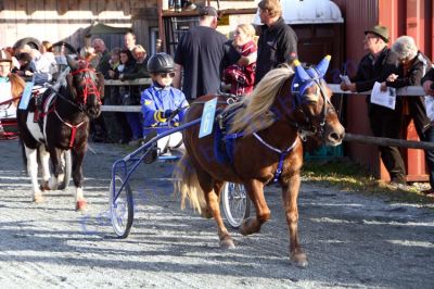 20131019_07_84.JPG