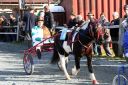 20131019_07_86.JPG