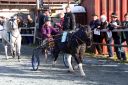 20131019_07_90.JPG