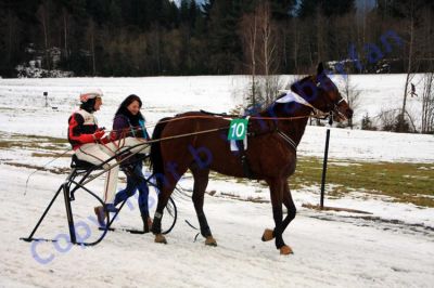20131226_04_78.JPG