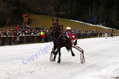 20131226_06_10.JPG