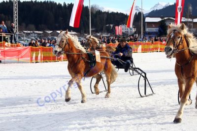 20140106_03_09.JPG