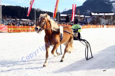 20140106_03_19.JPG