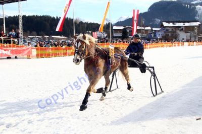 20140106_03_25.JPG