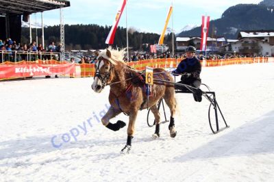 20140106_03_26.JPG
