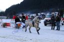 20140106_06_43.JPG