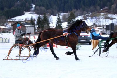 20140106_09_25.JPG