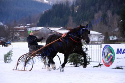 20140106_09_31.JPG