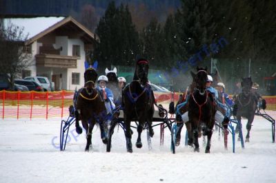 20140106_10_49.JPG